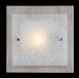 Потолочный светильник Maytoni Constanta CL813-01-W