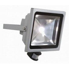 Настенный прожектор LED Flood 14801/50/36